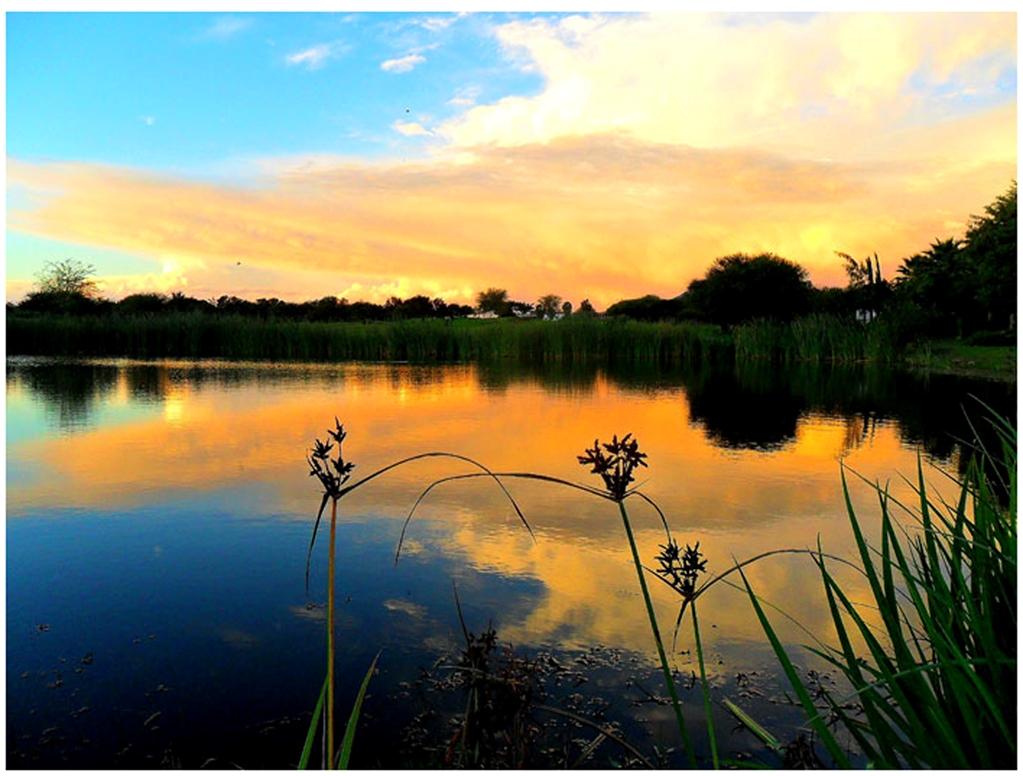 Phakalane Golf Estate Hotel Resort Gaborone Faciliteiten foto